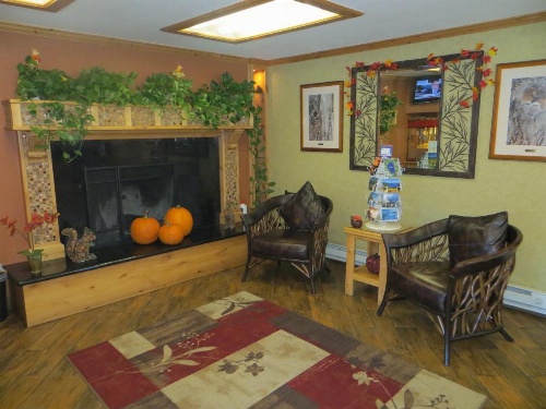 Stardust Lodge image 15