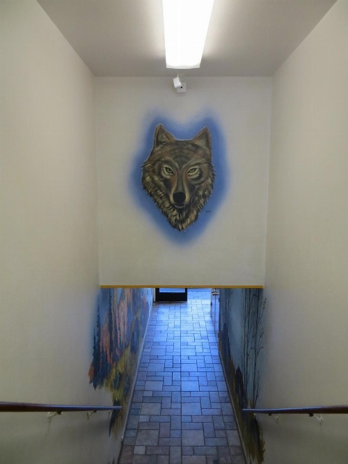 Stardust Lodge image 4